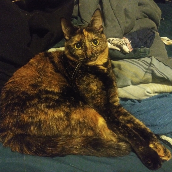 Meet your Posher, Asia - Picture 2 of 4